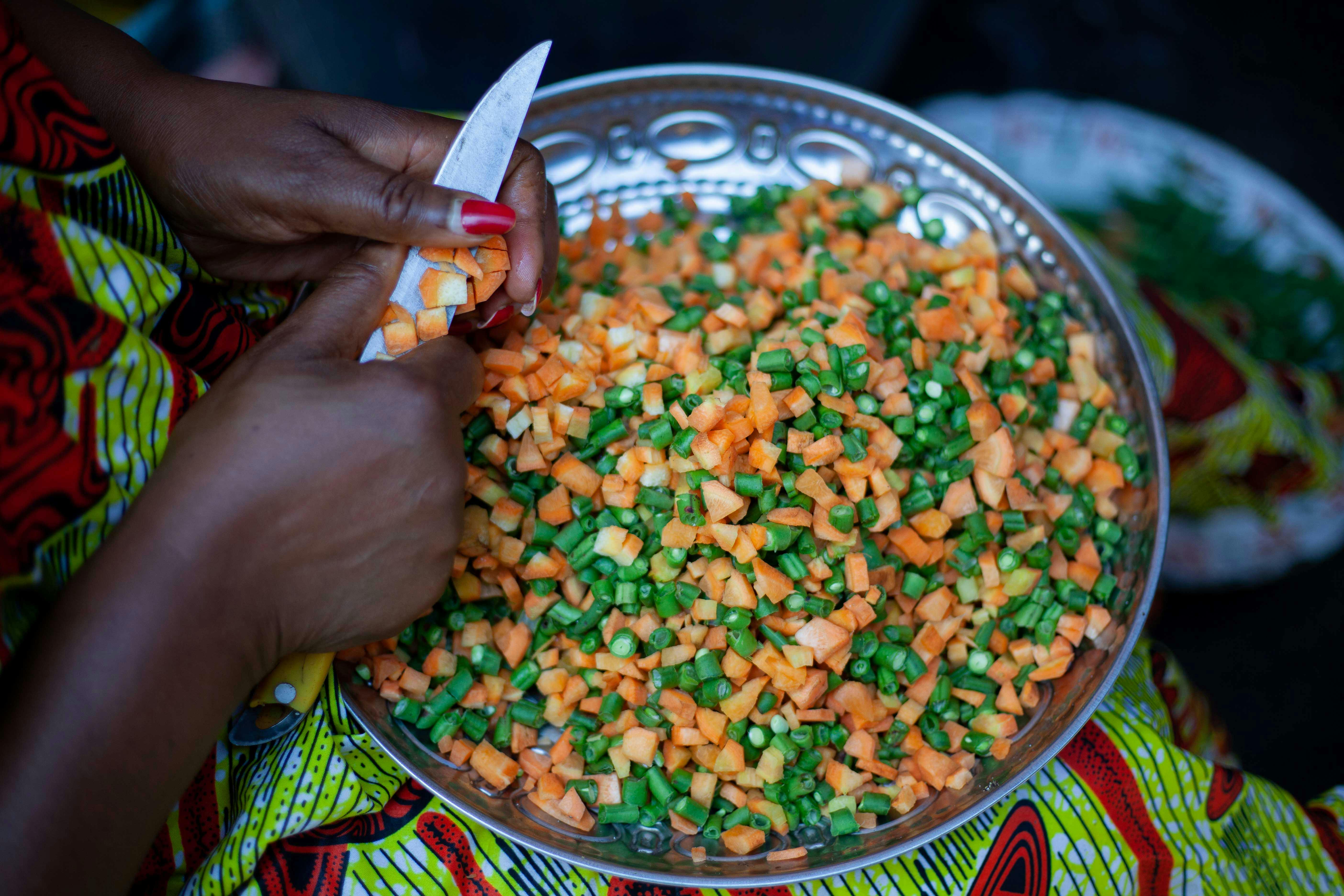 Nutrition and Wellness Initiative